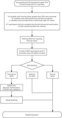 Utilizing machine learning for early screening of thyroid nodules: a dual-center cross-sectional study in China